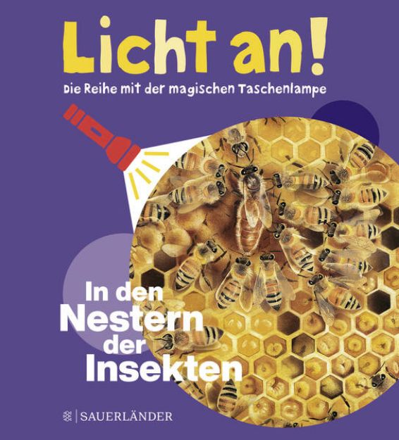 Bild zu In den Nestern der Insekten von Sabine (Illustr.) Krawczyk