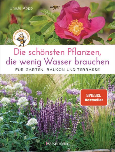 Bild zu Die schönsten Pflanzen, die wenig Wasser brauchen für Garten, Balkon und Terrasse - 66 trockenheitsverträgliche Stauden, Sträucher, Gräser und Blumen, die heiße Sommer garantiert überleben von Ursula Kopp