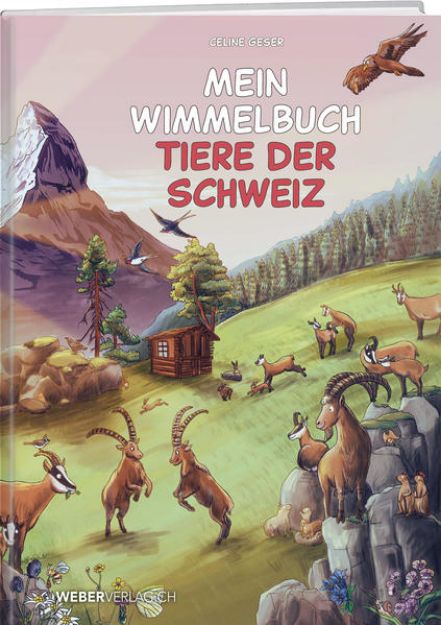 Bild zu Mein Wimmelbuch Tiere der Schweiz von Celine Geser