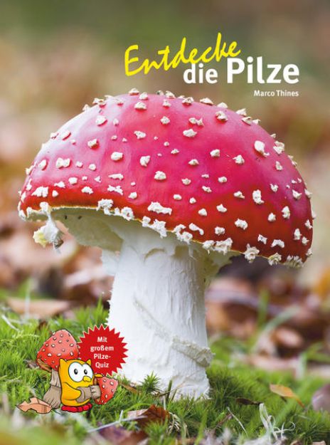 Bild zu Entdecke die Pilze von Marco Thines