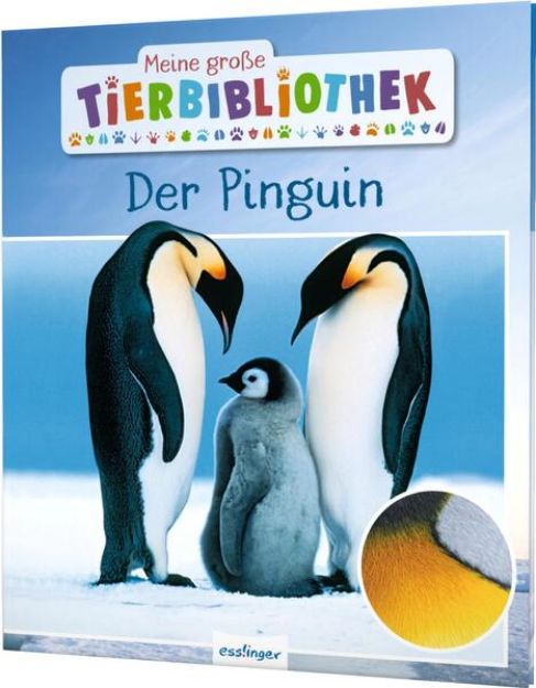 Bild zu Meine große Tierbibliothek: Der Pinguin von Dr. Jens Poschadel