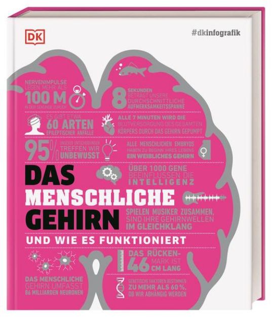 Bild zu #dkinfografik. Das menschliche Gehirn und wie es funktioniert von Catherine Collin