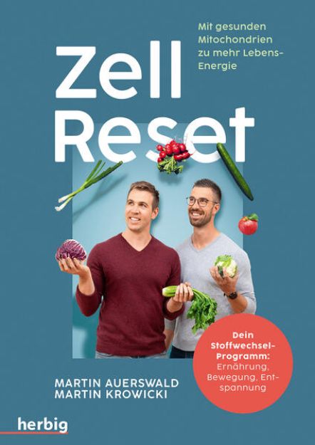 Bild zu Zell-Reset von Martin Auerswald