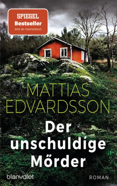 Bild zu Der unschuldige Mörder von Mattias Edvardsson