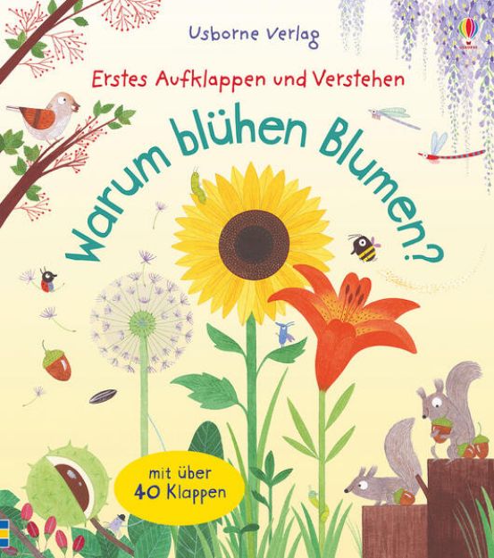 Bild zu Erstes Aufklappen und Verstehen: Warum blühen Blumen? von Katie Daynes