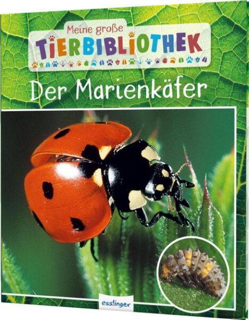 Bild zu Meine große Tierbibliothek: Der Marienkäfer von Valérie Tracqui