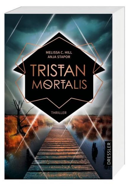 Bild zu Tristan Mortalis von Melissa C. Hill