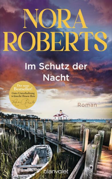 Bild zu Im Schutz der Nacht von Nora Roberts