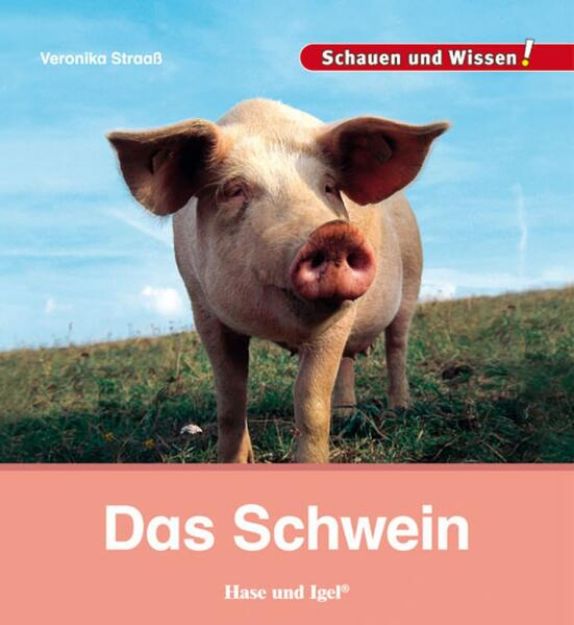 Bild zu Das Schwein von Veronika Straaß
