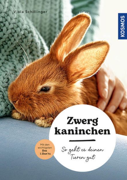 Bild zu Zwergkaninchen von Viola Schillinger