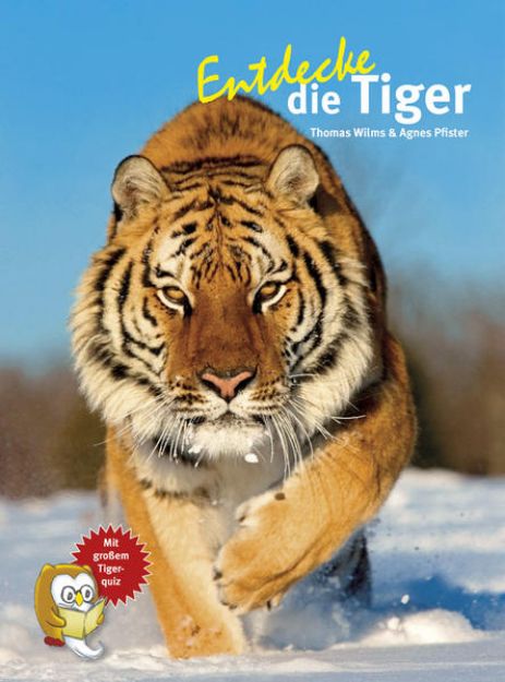 Bild zu Entdecke die Tiger von Agnes Wilms