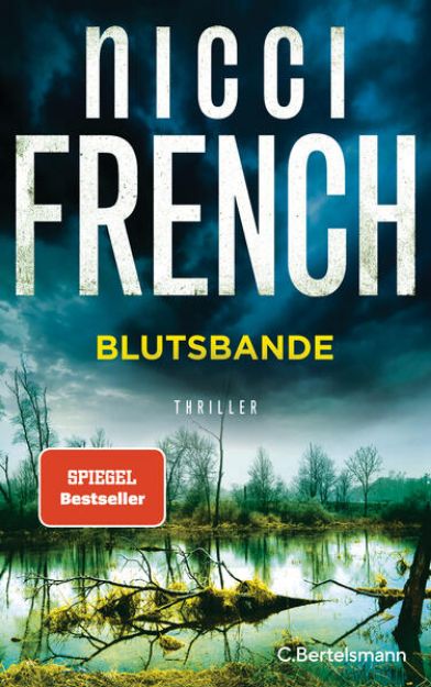 Bild zu Blutsbande von Nicci French