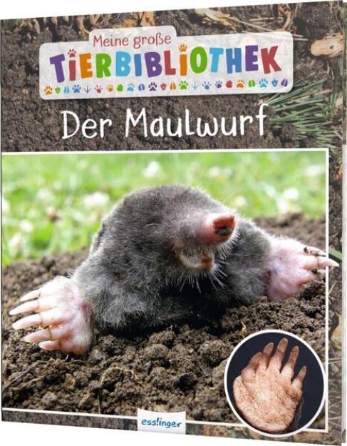 Bild zu Meine große Tierbibliothek: Der Maulwurf von Dr. Jens Poschadel