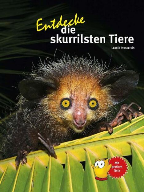 Bild zu Entdecke die skurrilsten Tiere von Leonie Proscurcin