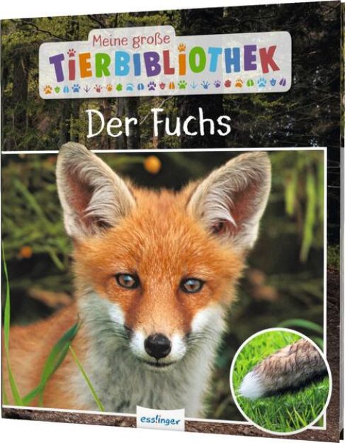 Bild zu Meine große Tierbibliothek: Der Fuchs von Christian Havard