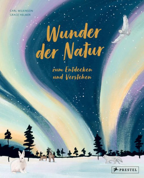 Bild zu Wunder der Natur zum Entdecken und Verstehen von Carl Wilkinson