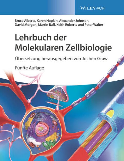 Bild zu Lehrbuch der Molekularen Zellbiologie von Bruce Alberts