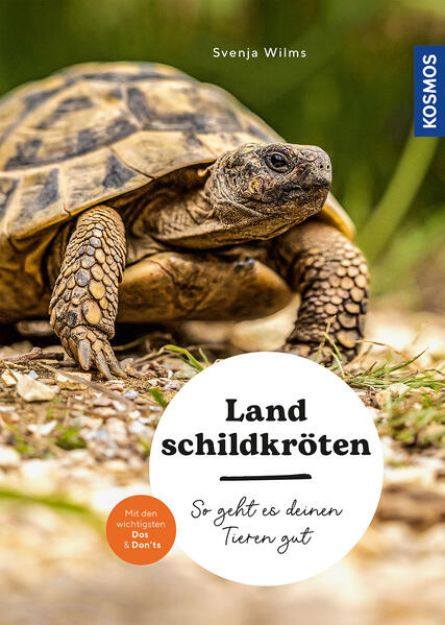 Bild zu Landschildkröten von Svenja Wilms