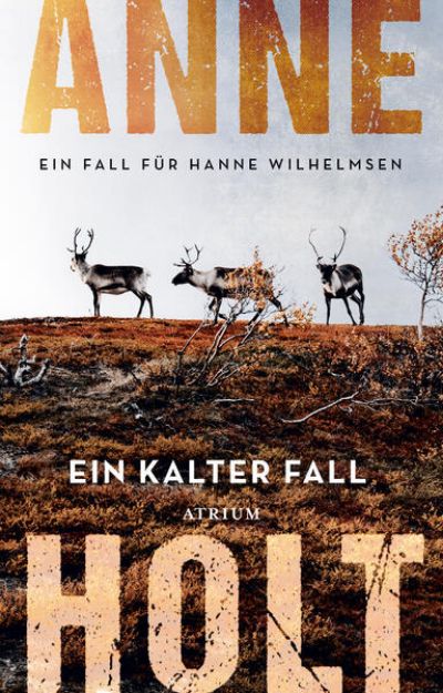 Bild zu Ein kalter Fall von Anne Holt