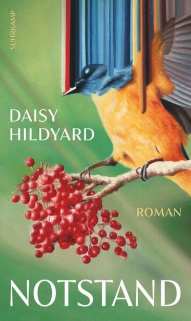 Bild zu Notstand von Daisy Hildyard