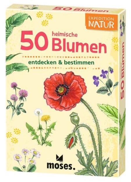 Bild zu 50 heimische Blumen von Carola von (Text von) Kessel