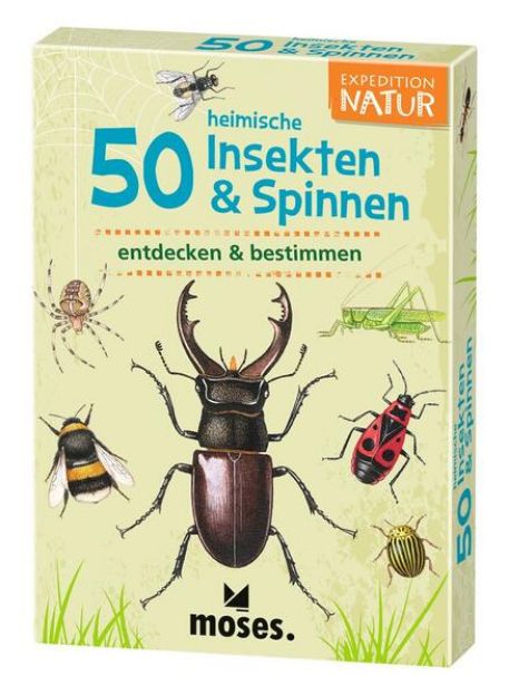 Bild zu 50 heimische Insekten & Spinnen von Carola von (Text von) Kessel