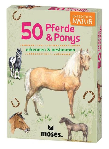 Bild zu 50 Pferde & Ponys von Carola von Kessel