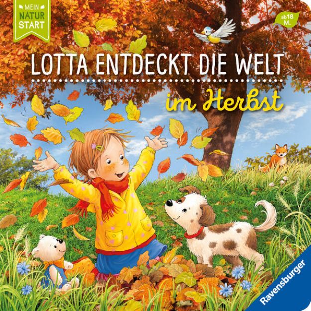 Bild zu Lotta entdeckt die Welt: Im Herbst von Sandra Grimm