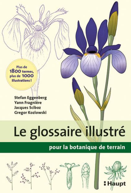 Bild zu Le glossaire illustré pour la botanique de terrain von Stefan Eggenberg