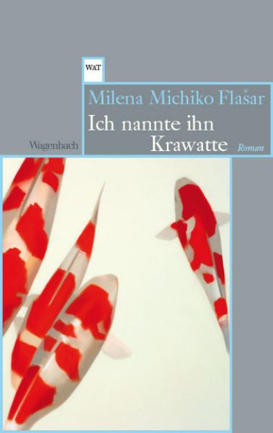 Bild zu Ich nannte ihn Krawatte von Milena Michiko Flasar