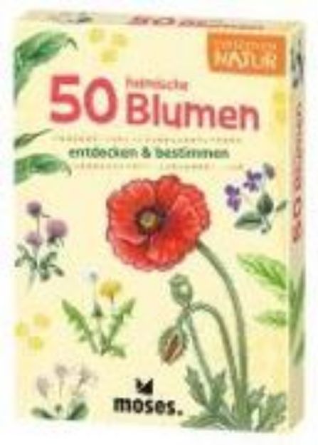 Bild zu 50 heimische Blumen von Carola von (Text von) Kessel