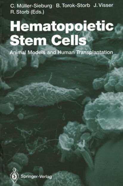 Bild zu Hematopoietic Stem Cells von Christa E. (Hrsg.) Müller-Sieburg