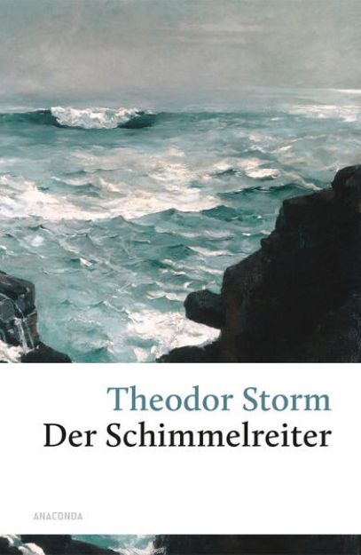 Bild zu Der Schimmelreiter von Theodor Storm