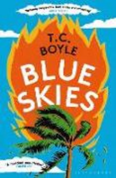 Bild zu Blue Skies von Boyle T. C.