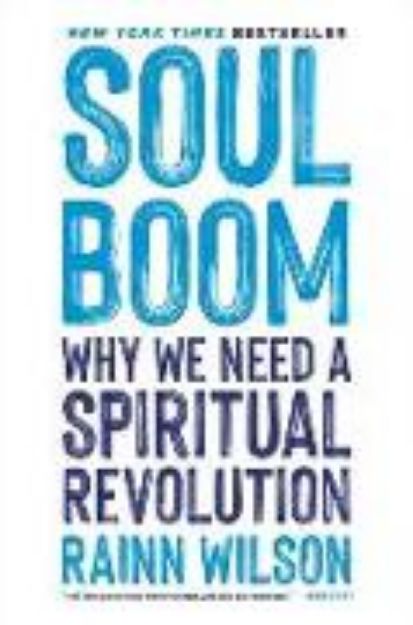 Bild zu Soul Boom von Rainn Wilson