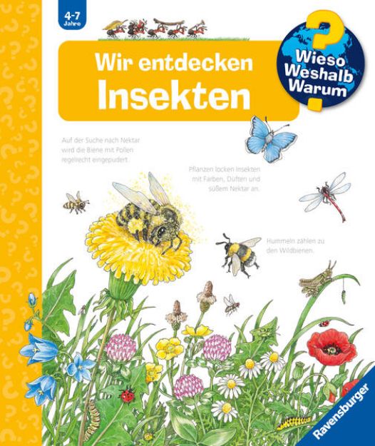 Bild zu Wieso? Weshalb? Warum?, Band 39: Wir entdecken Insekten von Angela Weinhold