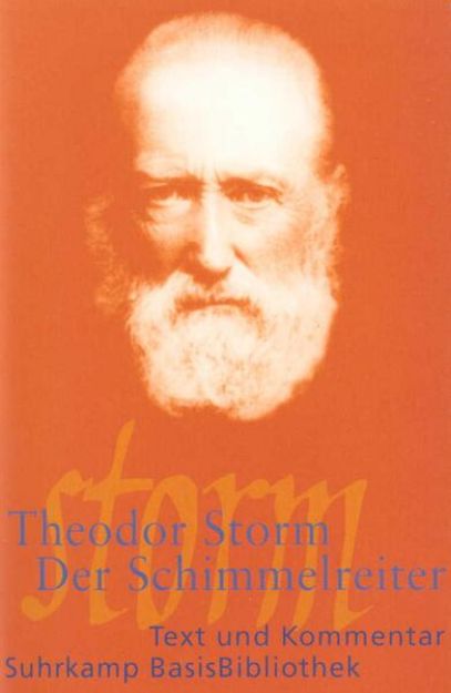 Bild zu Der Schimmelreiter von Theodor Storm