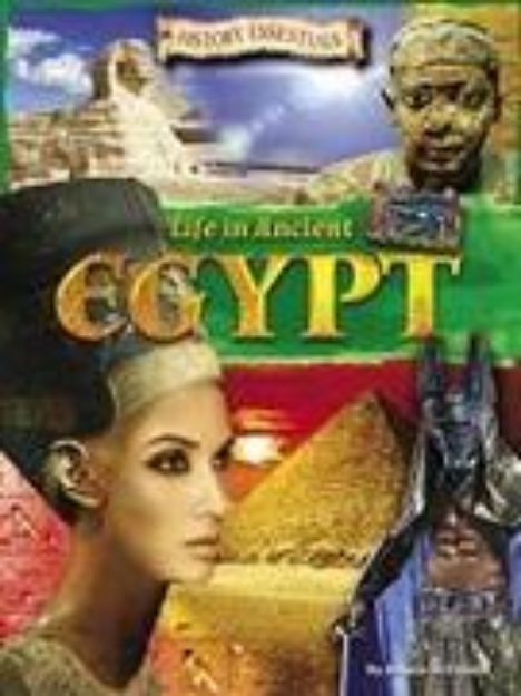 Bild zu Life In Ancient Egypt von Angela McDonald