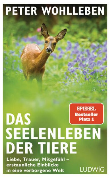 Bild zu Das Seelenleben der Tiere von Peter Wohlleben