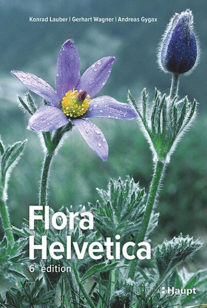 Bild zu Flora Helvetica - Flore illustrée de Suisse von Konrad Lauber