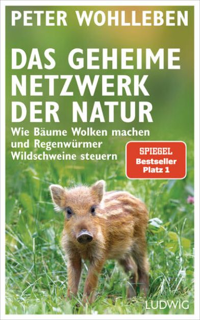 Bild zu Das geheime Netzwerk der Natur von Peter Wohlleben