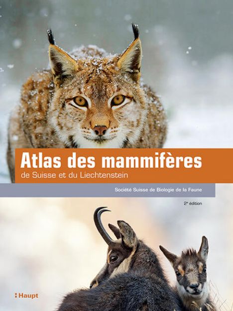 Bild zu Atlas des mammifères de Suisse et du Liechtenstein von Schweizerische Gesellschaft für Wildtierbiologie (SGW) (Hrsg.)