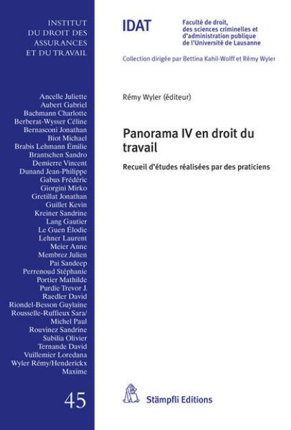 Bild zu Panorama IV en droit du travail von Rémy (Hrsg.) Wyler