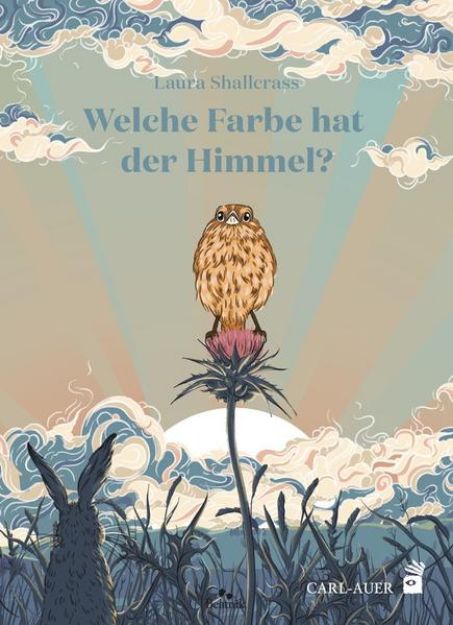 Bild zu Welche Farbe hat der Himmel? von Laura Shallcrass