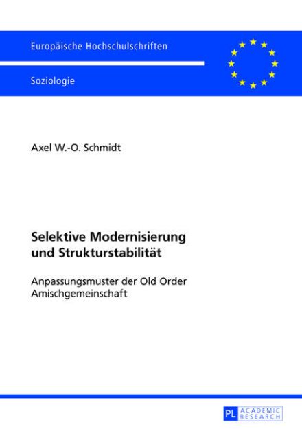 Bild zu Selektive Modernisierung und Strukturstabilität von Axel Schmidt