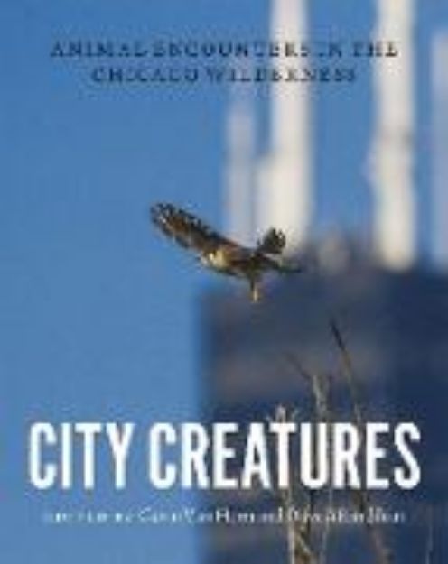 Bild zu City Creatures von Gavin (Hrsg.) Van Horn