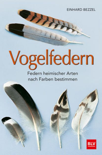 Bild zu Vogelfedern von Einhard Bezzel