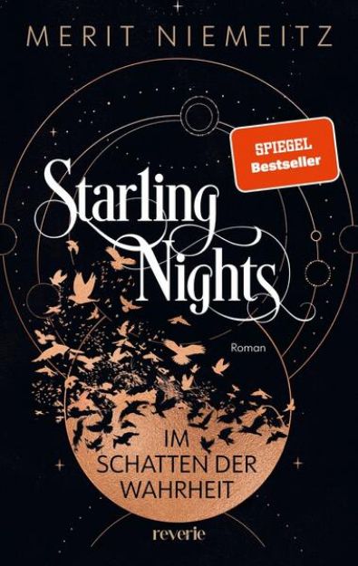 Bild zu Starling Nights 1 von Merit Niemeitz