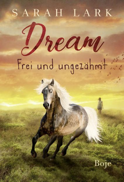 Bild zu Dream - Frei und ungezähmt von Sarah Lark