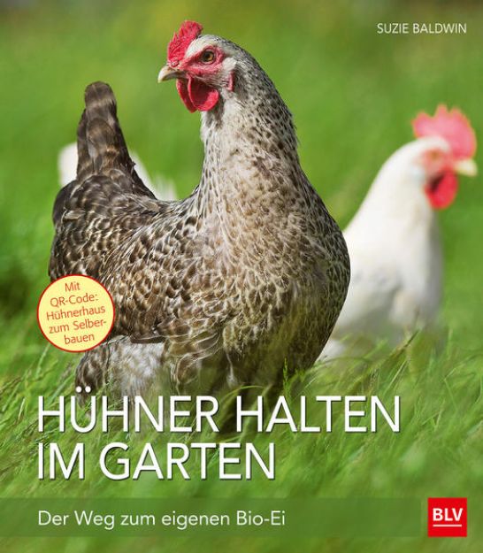 Bild zu Hühner halten im Garten von Suzie Baldwin